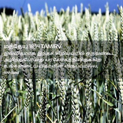 Picture 02 - மத்தேயு 18:14 TAMIRV - இவ்விதமாக, இந்தச் - Bible Verse Picture