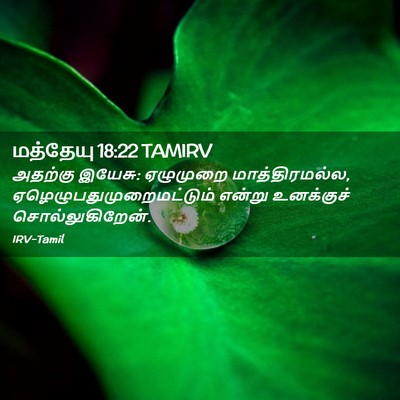 Picture 02 - மத்தேயு 18:22 TAMIRV - அதற்கு இயேசு: - Bible Verse Picture