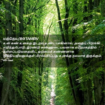 Picture 02 - மத்தேயு 18:9 TAMIRV - உன் கண் உனக்கு - Bible Verse Picture