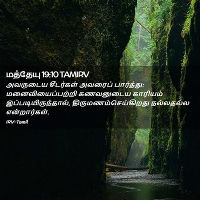 Picture 02 - மத்தேயு 19:10 TAMIRV - அவருடைய சீடர்கள் - Bible Verse Picture