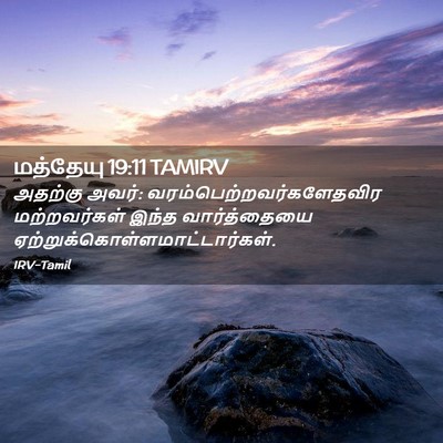 Picture 02 - மத்தேயு 19:11 TAMIRV - அதற்கு அவர்: - Bible Verse Picture