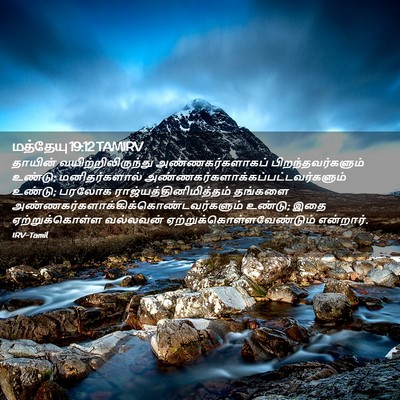 Picture 02 - மத்தேயு 19:12 TAMIRV - தாயின் - Bible Verse Picture