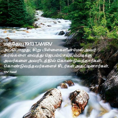 Picture 02 - மத்தேயு 19:13 TAMIRV - அப்பொழுது, சிறு - Bible Verse Picture