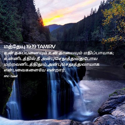 Picture 02 - மத்தேயு 19:19 TAMIRV - உன் தகப்பனையும் - Bible Verse Picture