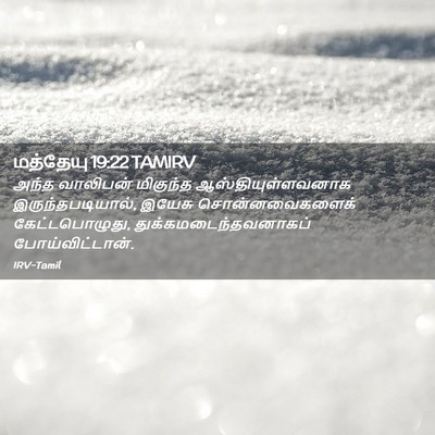 Picture 02 - மத்தேயு 19:22 TAMIRV - அந்த வாலிபன் - Bible Verse Picture