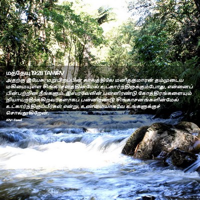 Picture 02 - மத்தேயு 19:28 TAMIRV - அதற்கு இயேசு: - Bible Verse Picture