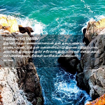 Picture 02 - மத்தேயு 19:5 TAMIRV - இதினிமித்தம் - Bible Verse Picture