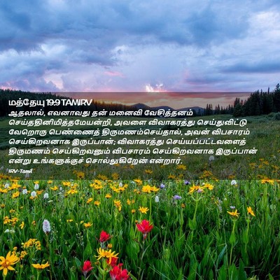 Picture 02 - மத்தேயு 19:9 TAMIRV - ஆதலால், எவனாவது - Bible Verse Picture