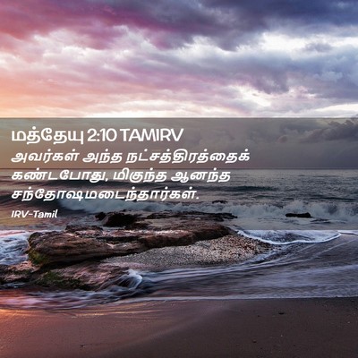 Picture 02 - மத்தேயு 2:10 TAMIRV - அவர்கள் அந்த - Bible Verse Picture