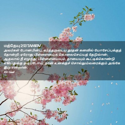 Picture 02 - மத்தேயு 2:13 TAMIRV - அவர்கள் - Bible Verse Picture