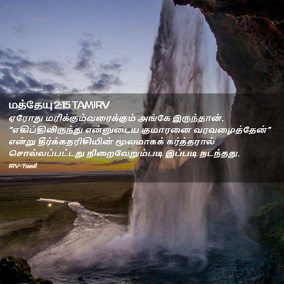 Picture 02 - மத்தேயு 2:15 TAMIRV - ஏரோது - Bible Verse Picture