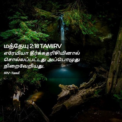 Picture 02 - மத்தேயு 2:18 TAMIRV - எரேமியா - Bible Verse Picture