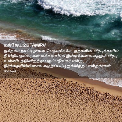 Picture 02 - மத்தேயு 2:6 TAMIRV - யூதேயா - Bible Verse Picture