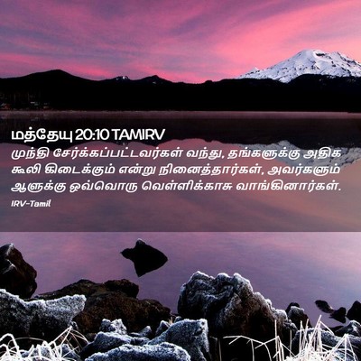 Picture 02 - மத்தேயு 20:10 TAMIRV - முந்தி - Bible Verse Picture