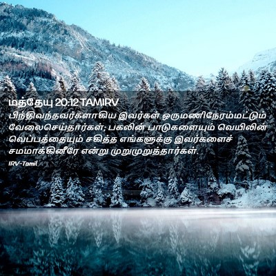 Picture 02 - மத்தேயு 20:12 TAMIRV -  - Bible Verse Picture