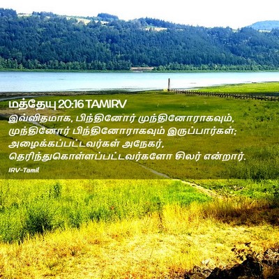 Picture 02 - மத்தேயு 20:16 TAMIRV - இவ்விதமாக, - Bible Verse Picture
