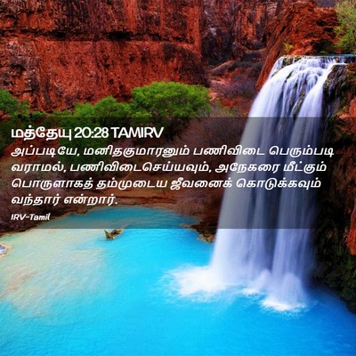 Picture 02 - மத்தேயு 20:28 TAMIRV - அப்படியே, - Bible Verse Picture