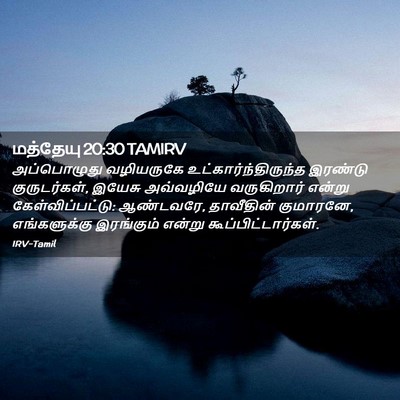Picture 02 - மத்தேயு 20:30 TAMIRV - அப்பொழுது - Bible Verse Picture