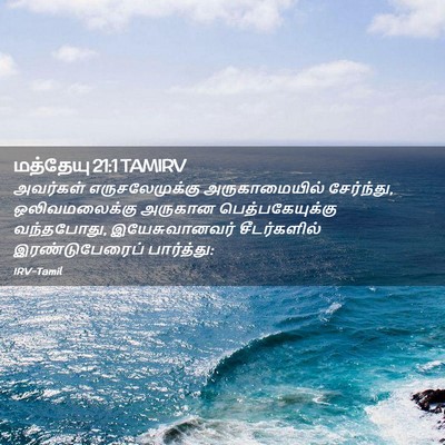 Picture 02 - மத்தேயு 21:1 TAMIRV - அவர்கள் - Bible Verse Picture