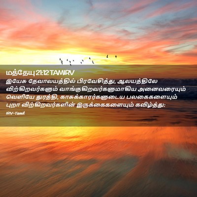 Picture 02 - மத்தேயு 21:12 TAMIRV - இயேசு - Bible Verse Picture