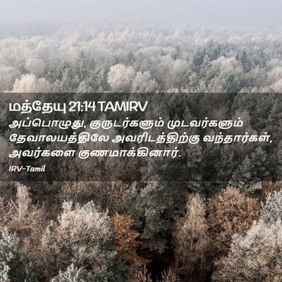 Picture 02 - மத்தேயு 21:14 TAMIRV - அப்பொழுது, - Bible Verse Picture
