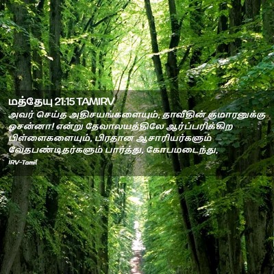 Picture 02 - மத்தேயு 21:15 TAMIRV - அவர் செய்த - Bible Verse Picture