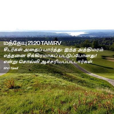 Picture 02 - மத்தேயு 21:20 TAMIRV - சீடர்கள் அதைப் - Bible Verse Picture