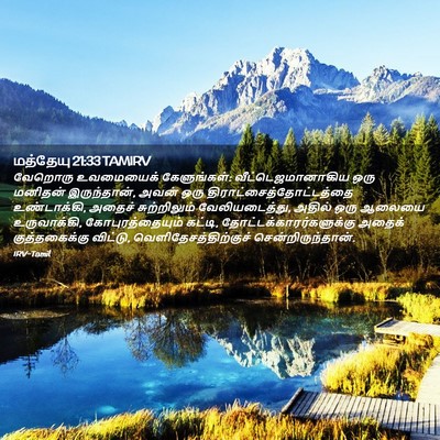 Picture 02 - மத்தேயு 21:33 TAMIRV - வேறொரு உவமையைக் - Bible Verse Picture