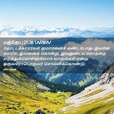 Picture 02 - மத்தேயு 21:38 TAMIRV - தோட்டக்காரர்கள் - Bible Verse Picture