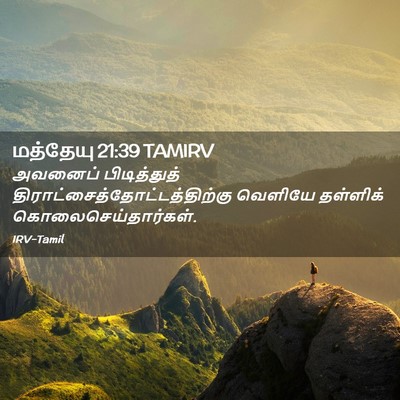 Picture 02 - மத்தேயு 21:39 TAMIRV - அவனைப் பிடித்துத் - Bible Verse Picture