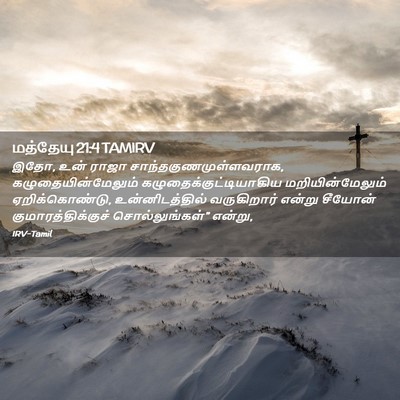 Picture 02 - மத்தேயு 21:4 TAMIRV - இதோ, உன் ராஜா - Bible Verse Picture
