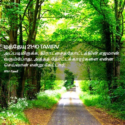 Picture 02 - மத்தேயு 21:40 TAMIRV - அப்படியிருக்க, - Bible Verse Picture