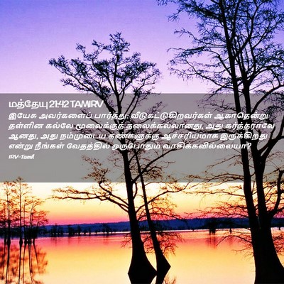 Picture 02 - மத்தேயு 21:42 TAMIRV - இயேசு அவர்களைப் - Bible Verse Picture