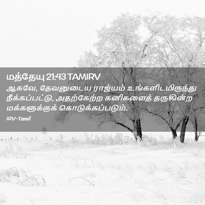 Picture 02 - மத்தேயு 21:43 TAMIRV - ஆகவே, தேவனுடைய - Bible Verse Picture