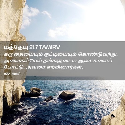 Picture 02 - மத்தேயு 21:7 TAMIRV - கழுதையையும் - Bible Verse Picture