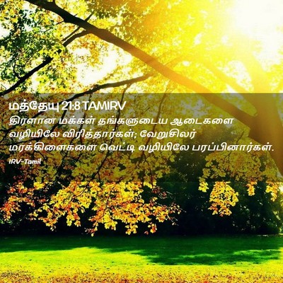 Picture 02 - மத்தேயு 21:8 TAMIRV - திரளான மக்கள் - Bible Verse Picture