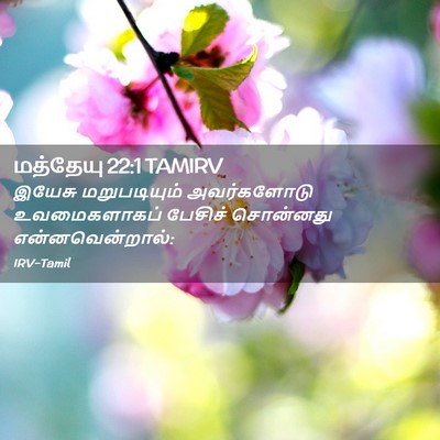 Picture 02 - மத்தேயு 22:1 TAMIRV - இயேசு மறுபடியும் - Bible Verse Picture