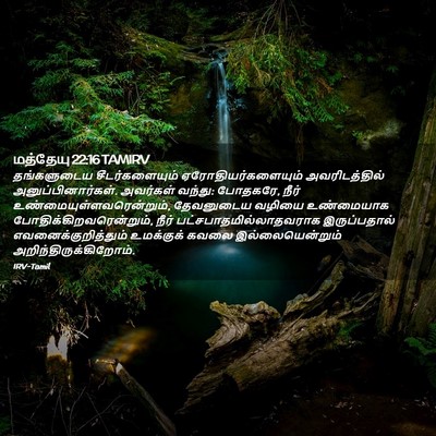 Picture 02 - மத்தேயு 22:16 TAMIRV - தங்களுடைய - Bible Verse Picture