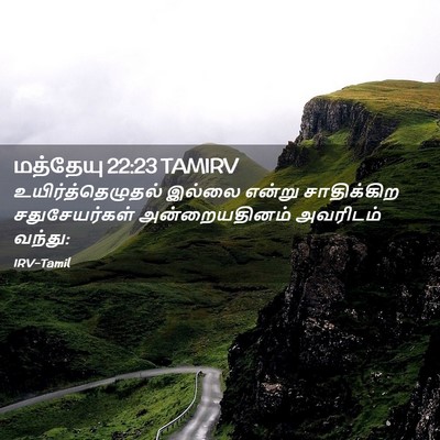 Picture 02 - மத்தேயு 22:23 TAMIRV - உயிர்த்தெழுதல் - Bible Verse Picture