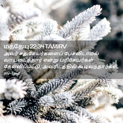 Picture 02 - மத்தேயு 22:34 TAMIRV - அவர் - Bible Verse Picture