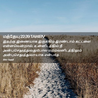 Picture 02 - மத்தேயு 22:39 TAMIRV - இதற்கு இணையாக - Bible Verse Picture