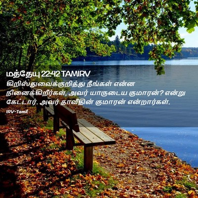 Picture 02 - மத்தேயு 22:42 TAMIRV -  - Bible Verse Picture