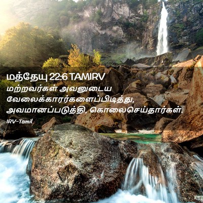 Picture 02 - மத்தேயு 22:6 TAMIRV - மற்றவர்கள் - Bible Verse Picture