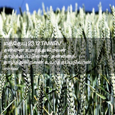 Picture 02 - மத்தேயு 23:12 TAMIRV - தன்னை - Bible Verse Picture