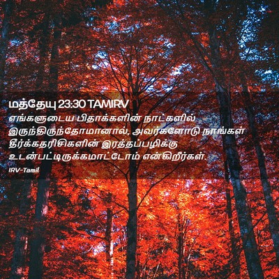 Picture 02 - மத்தேயு 23:30 TAMIRV - எங்களுடைய - Bible Verse Picture