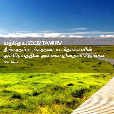Picture 02 - மத்தேயு 23:32 TAMIRV - நீங்களும் - Bible Verse Picture