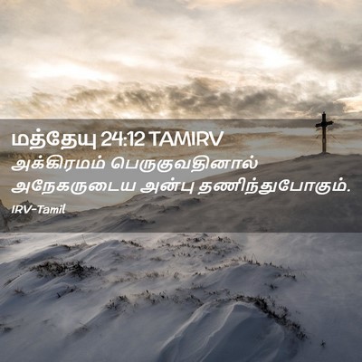 Picture 02 - மத்தேயு 24:12 TAMIRV - அக்கிரமம் - Bible Verse Picture