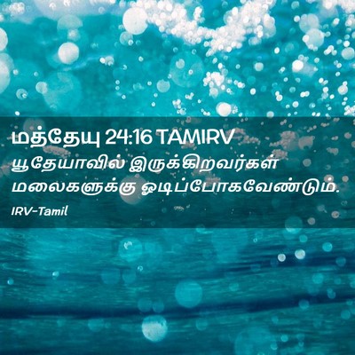Picture 02 - மத்தேயு 24:16 TAMIRV - யூதேயாவில் - Bible Verse Picture