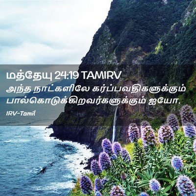 Picture 02 - மத்தேயு 24:19 TAMIRV - அந்த நாட்களிலே - Bible Verse Picture
