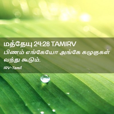 Picture 02 - மத்தேயு 24:28 TAMIRV - பிணம் எங்கேயோ - Bible Verse Picture